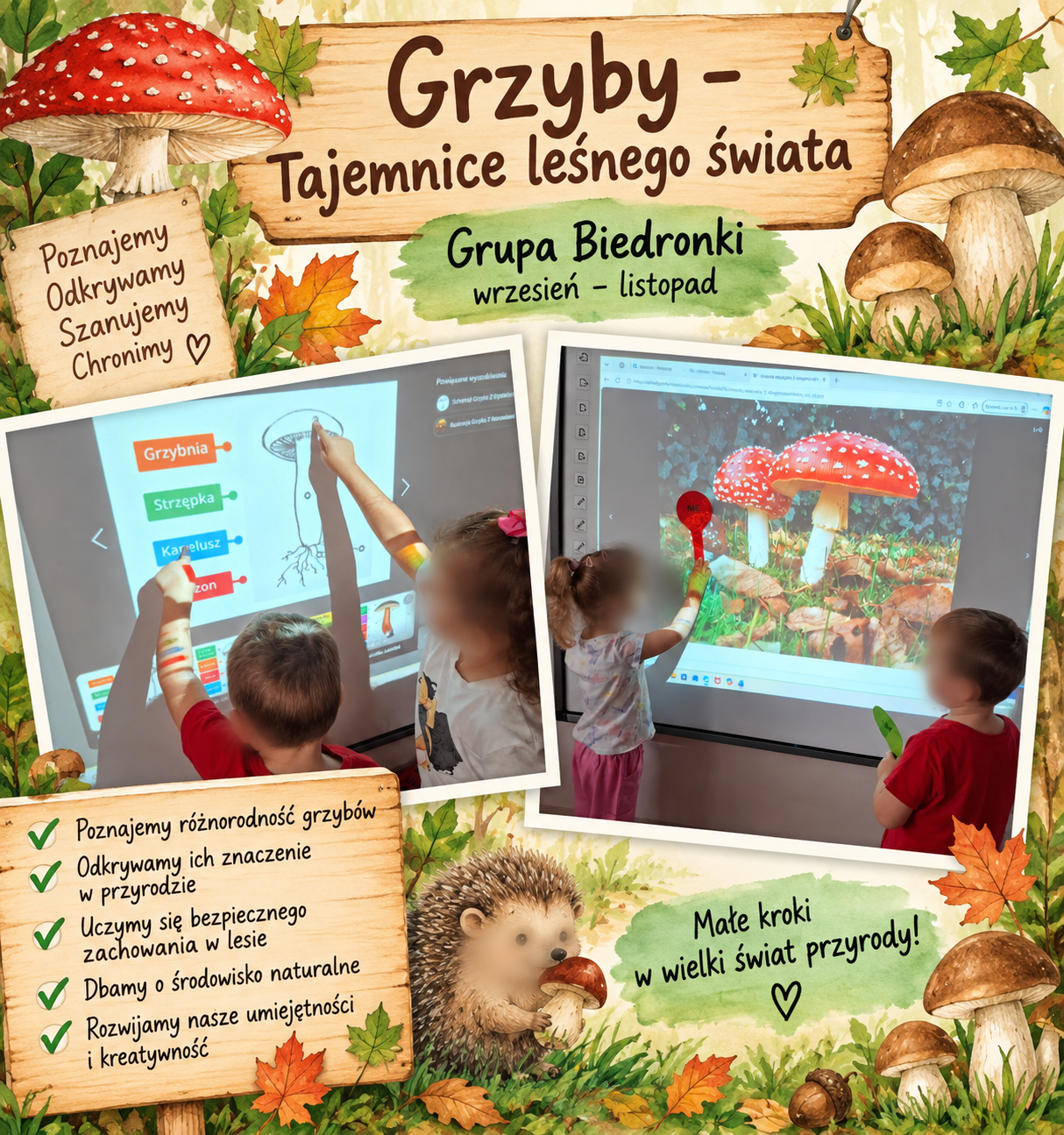 Grzyby- tajemnice leśnego świata