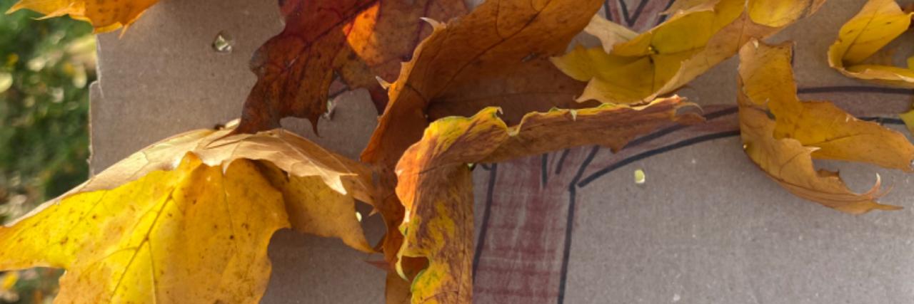 Zdjęcie aktualności 28