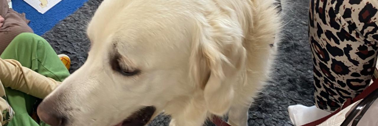 Zdjęcie aktualności 29