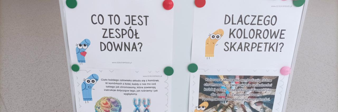 Zdjęcie aktualności 49